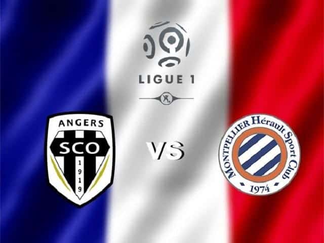 Soi kèo nhà cái bóng đá Angers SCO vs Montpellier, 23/02/2020 - VĐQG Pháp [Ligue 1]