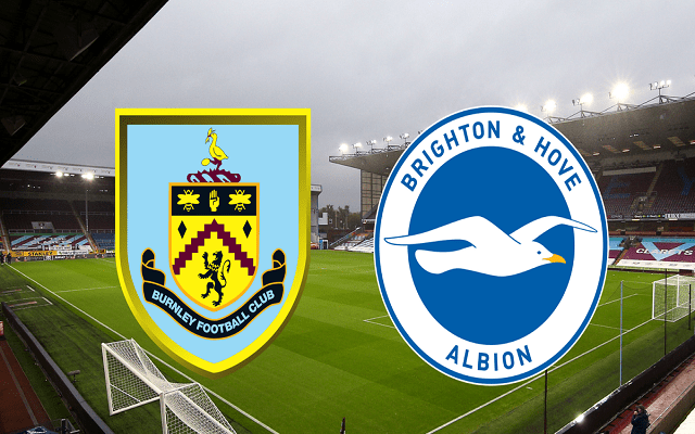 Soi kèo bóng đá 188 Burnley vs Brighton, 14/08/2021 – Ngoại Hạng Anh