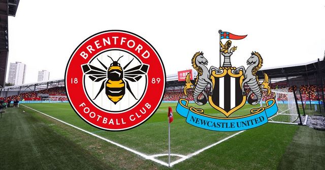 Soi kèo bóng đá 188 Newcastle vs Brentford, 08/10/2022 – Ngoại Hạng Anh